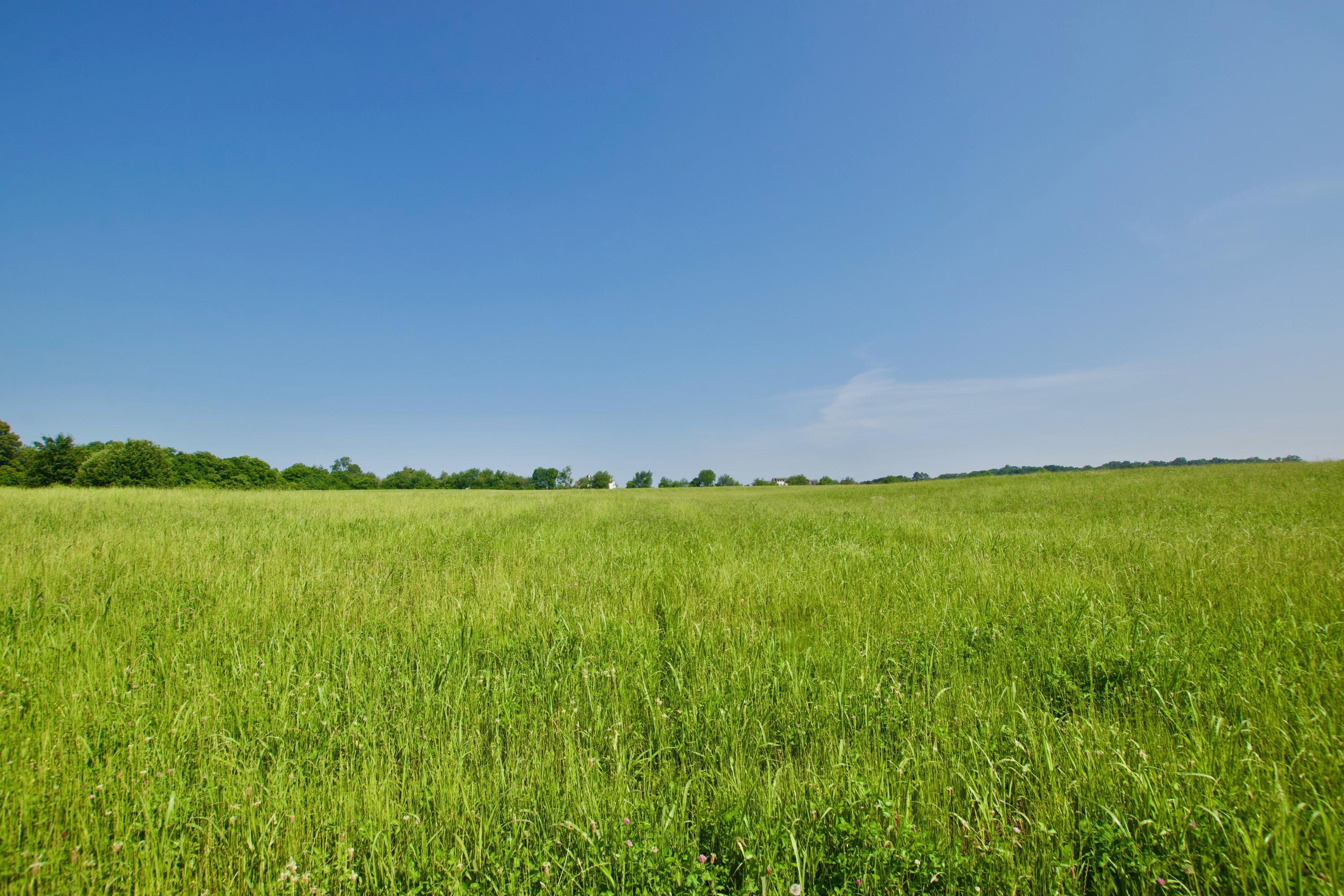 Lot 4 Chilhowee View Road Maryville, TN 37803 - Photo 4 of 5 DSC_0617