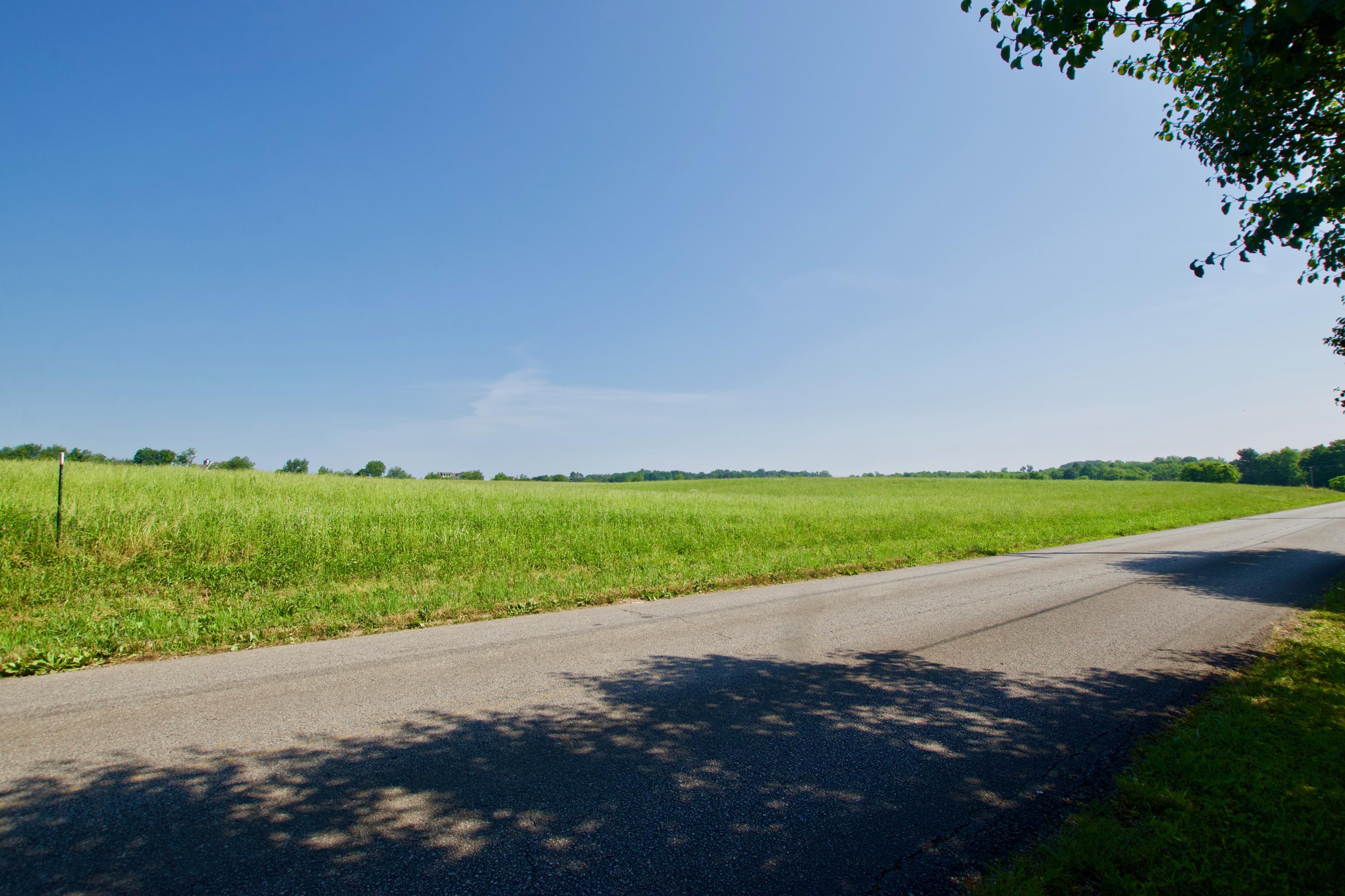 Lot 4 Chilhowee View Road Maryville, TN 37803 - Photo 5 of 5 DSC_0618