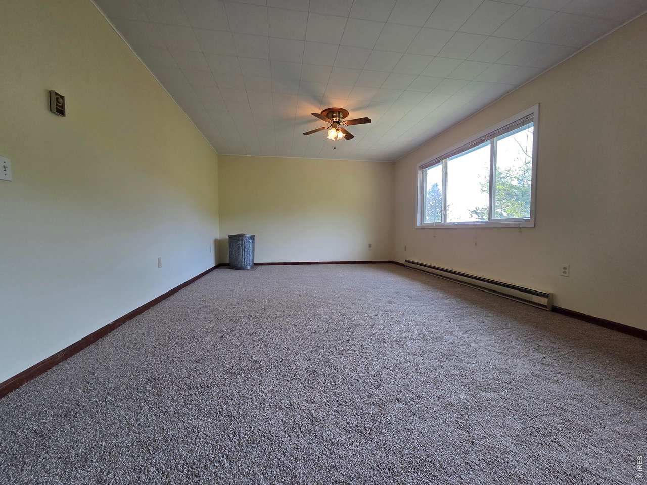 328 North Skinner Road Allenspark, CO 80510 - Photo 19 of 41 Living Area