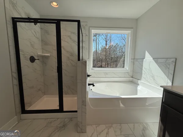 a bathroom with a bathtub and a shower