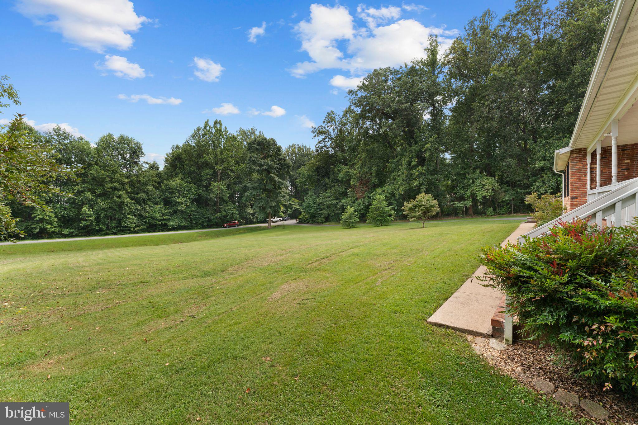 13360 Cameron Court Boston, VA 22713 - Photo 24 of 76 a view of yard with swimming pool and green space