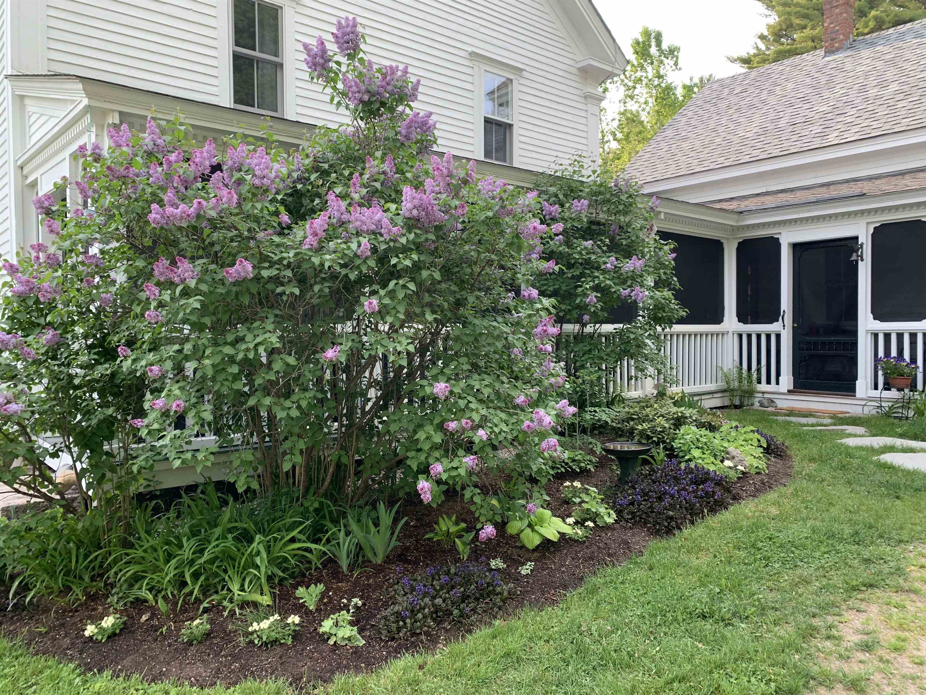 784 Cleveland Hill Road Tamworth, NH 03886 - Photo 2 of 40
