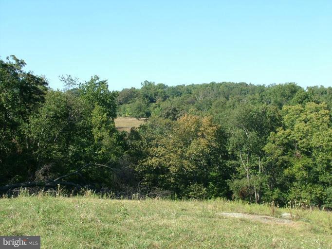 9315 Frostown Road Middletown, MD 21769 - Photo 4 of 4 a view of a garden
