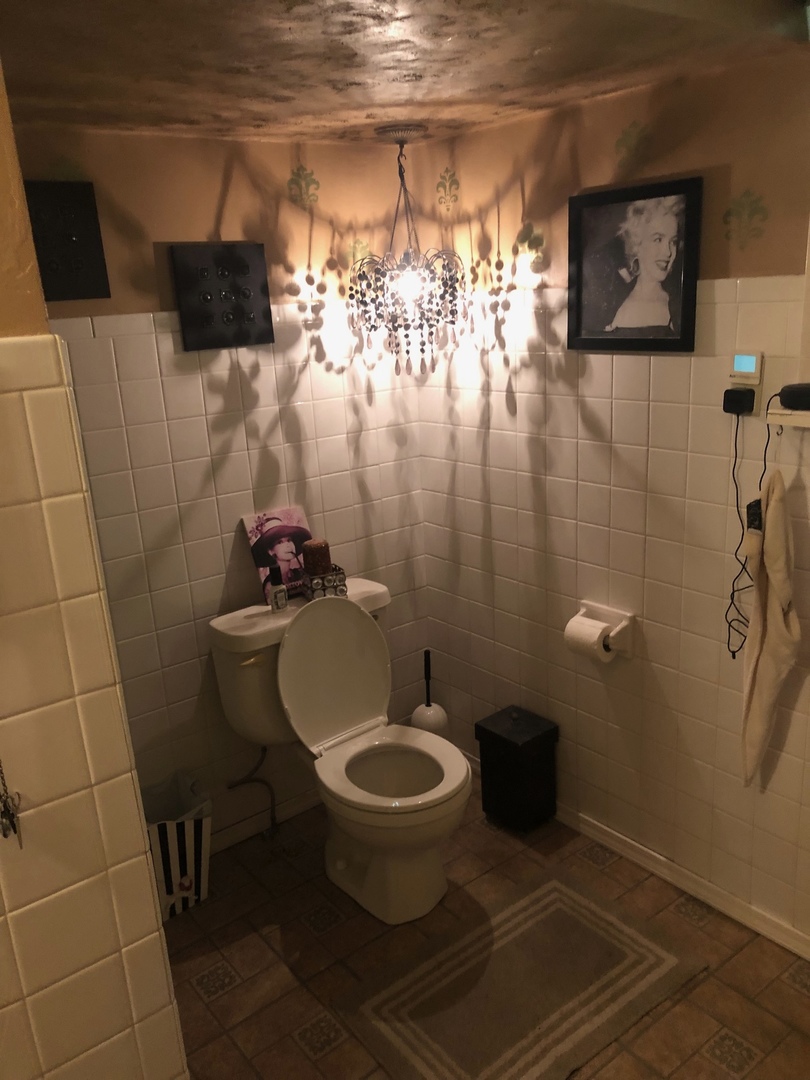 403 East 3rd Street Brocton, IL 61917 - Photo 33 of 39 a bathroom with a toilet and a shower