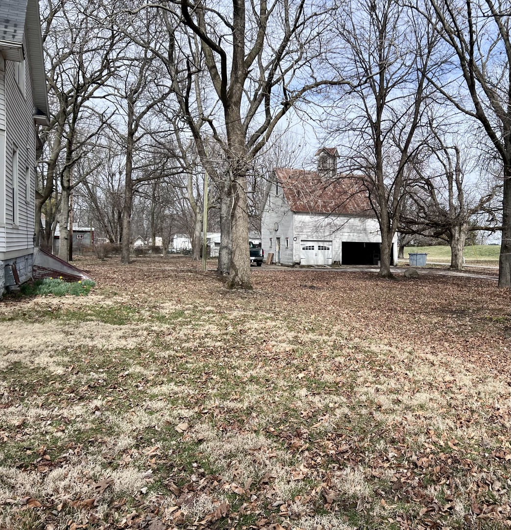 403 East 3rd Street Brocton, IL 61917 - Photo 37 of 39 a view of a yard with a tree