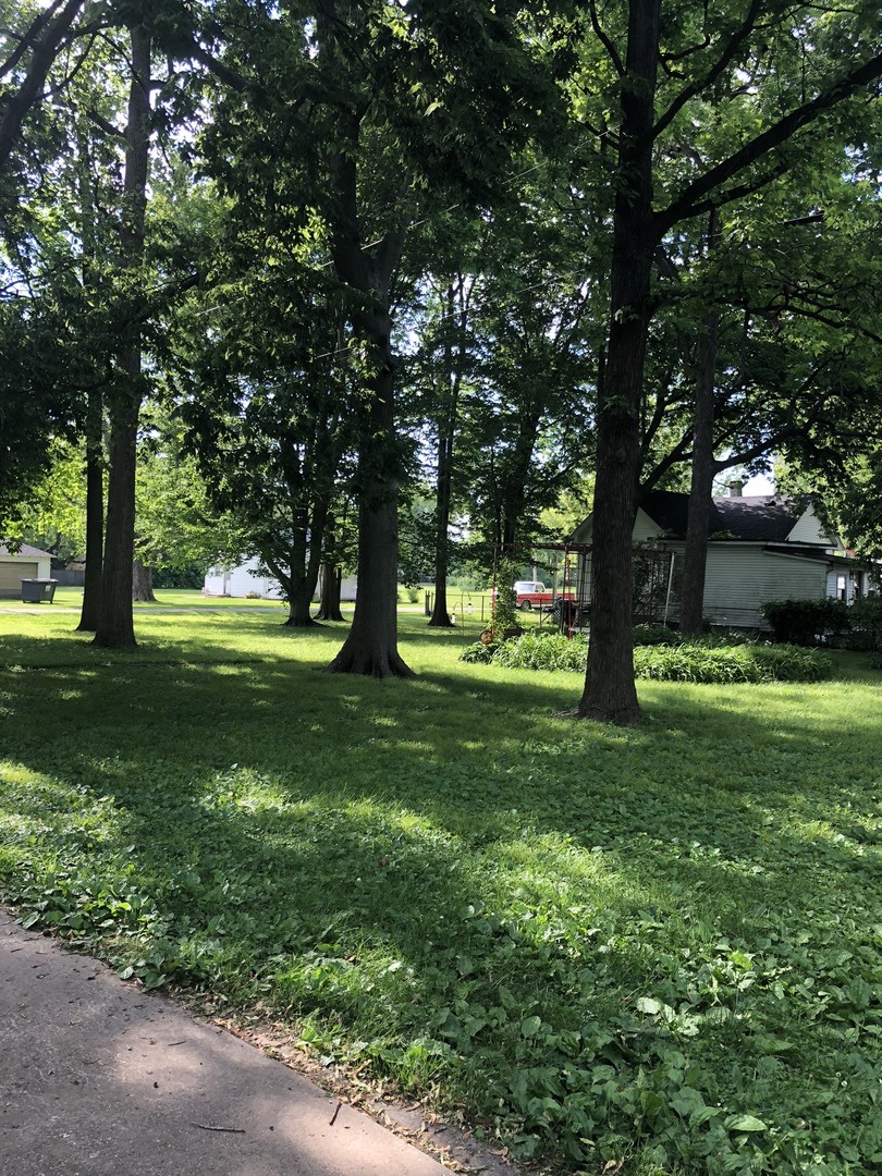 403 East 3rd Street Brocton, IL 61917 - Photo 39 of 39 a view of park with trees