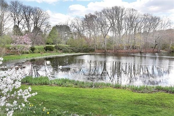 75 Sargent Road Brookline, MA 02445 - Photo 13 of 19 a view of a lake with a big yard and large trees