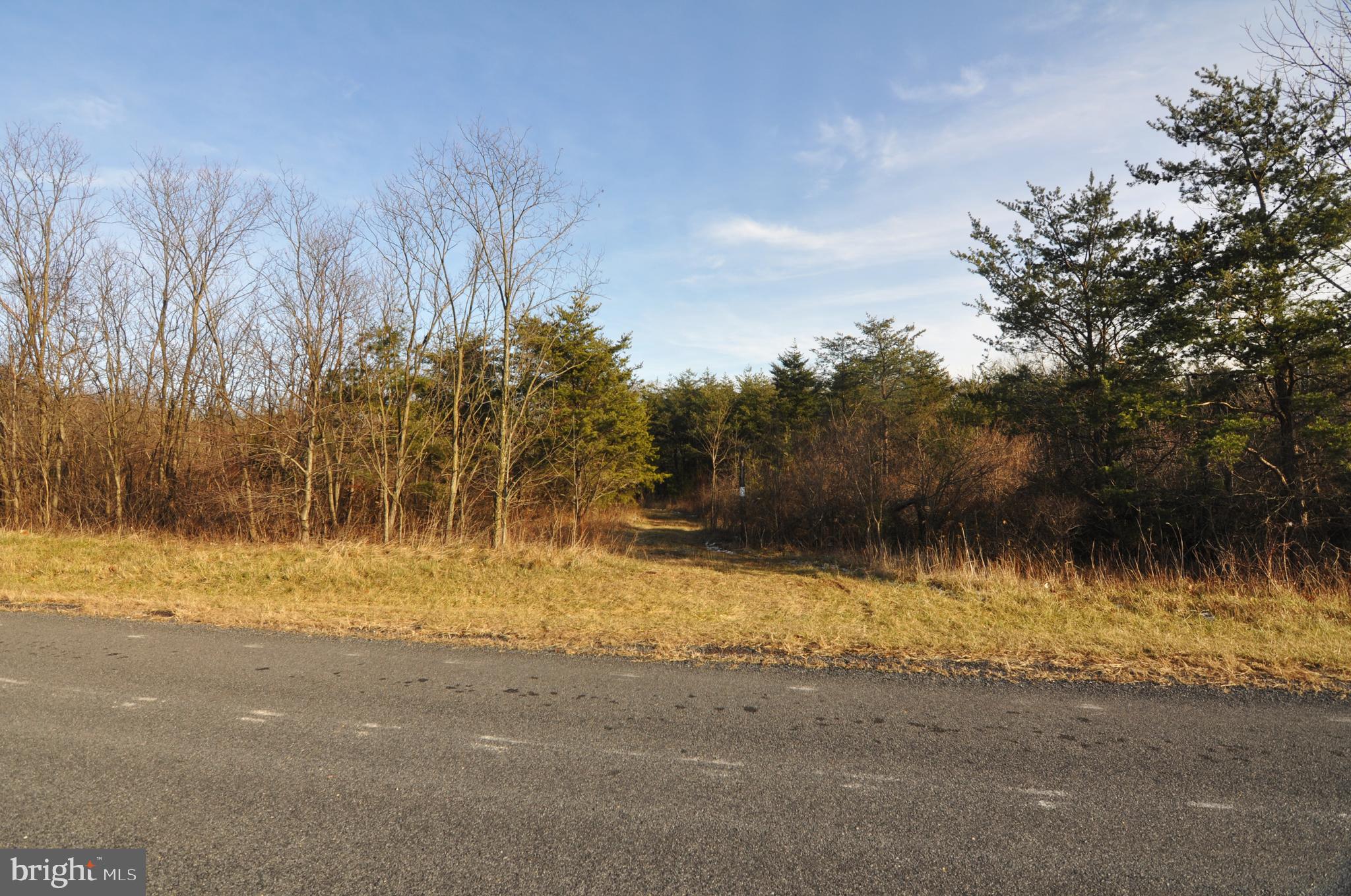4-5 6 New Hope Road Cross Junction, VA 22625 - Photo 11 of 11 Lot 4