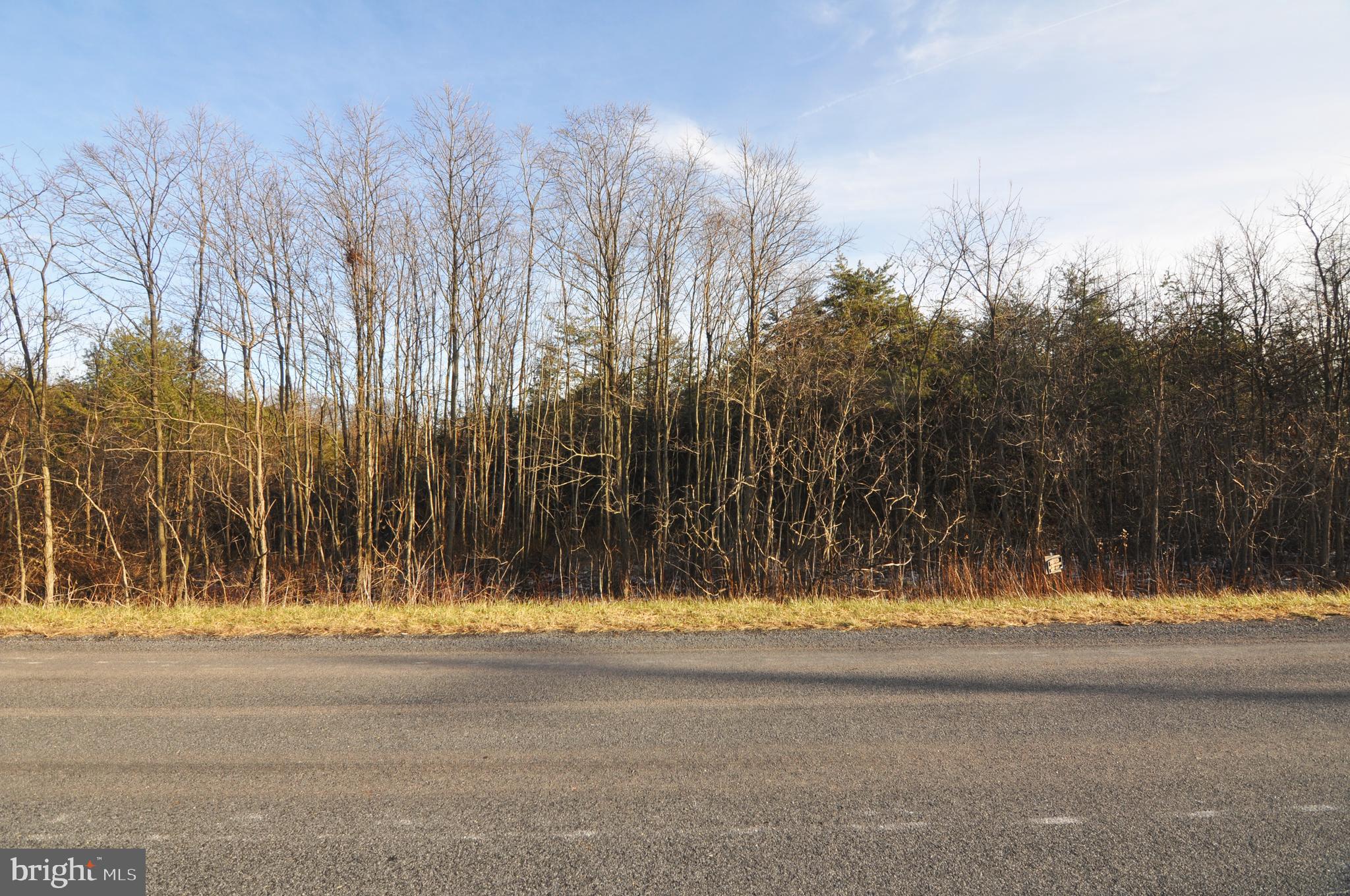 4-5 6 New Hope Road Cross Junction, VA 22625 - Photo 8 of 11 Lot 6