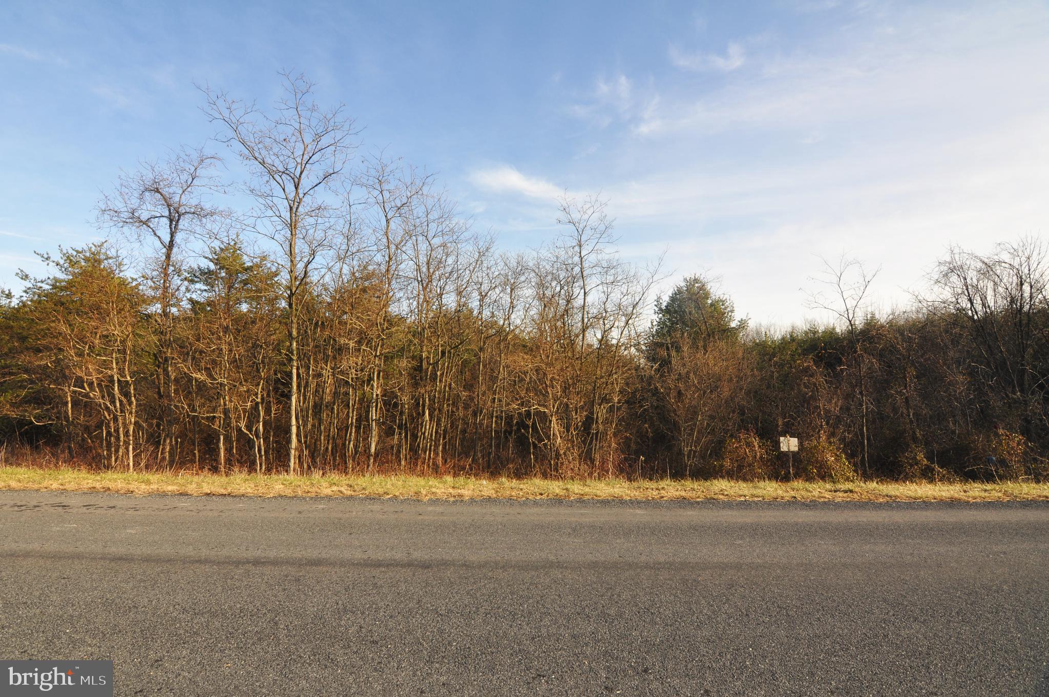 4-5 6 New Hope Road Cross Junction, VA 22625 - Photo 10 of 11 Lot 5