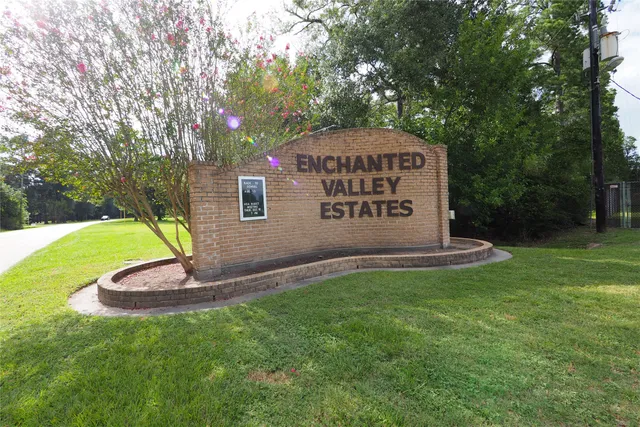 a view of a park with a large trees