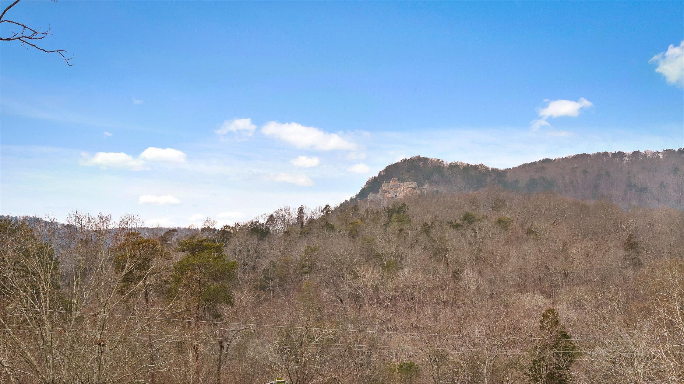 704 Ray Lane Hixson, TN 37343 - Photo 22 of 22 22-Ray-21