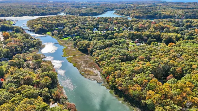 a view of a lake with a city