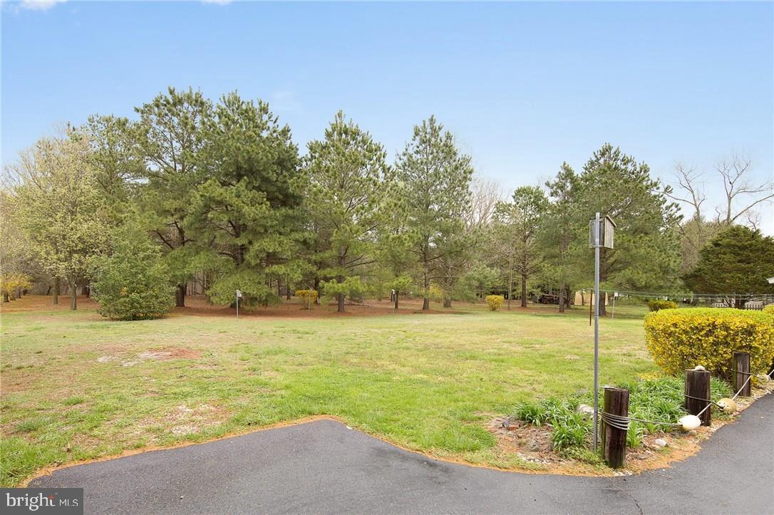 26269 Cave Neck Road Milton, DE 19968 - Photo 25 of 25 Gallery Image 25