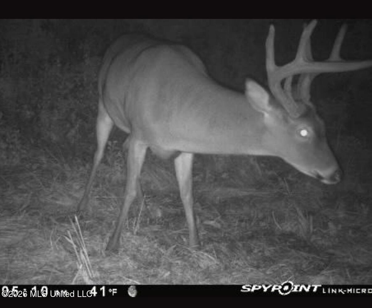 364 Yandell Road Canton, MS 39046 - Photo 8 of 9 IMG_1118