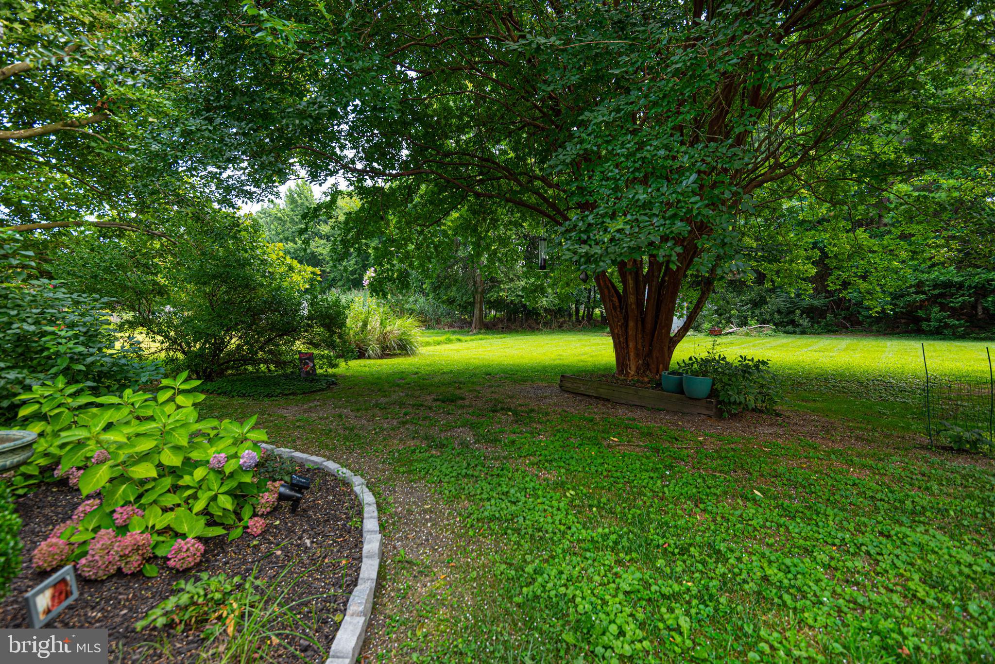 12442 Salisbury Road Ocean City, MD 21842 - Photo 21 of 69 professionally landscaped