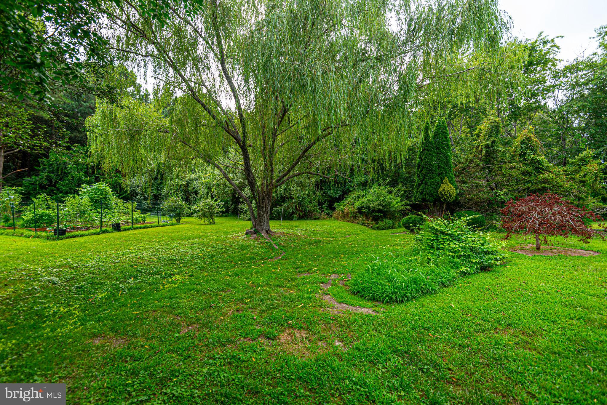 12442 Salisbury Road Ocean City, MD 21842 - Photo 25 of 69 private backyard