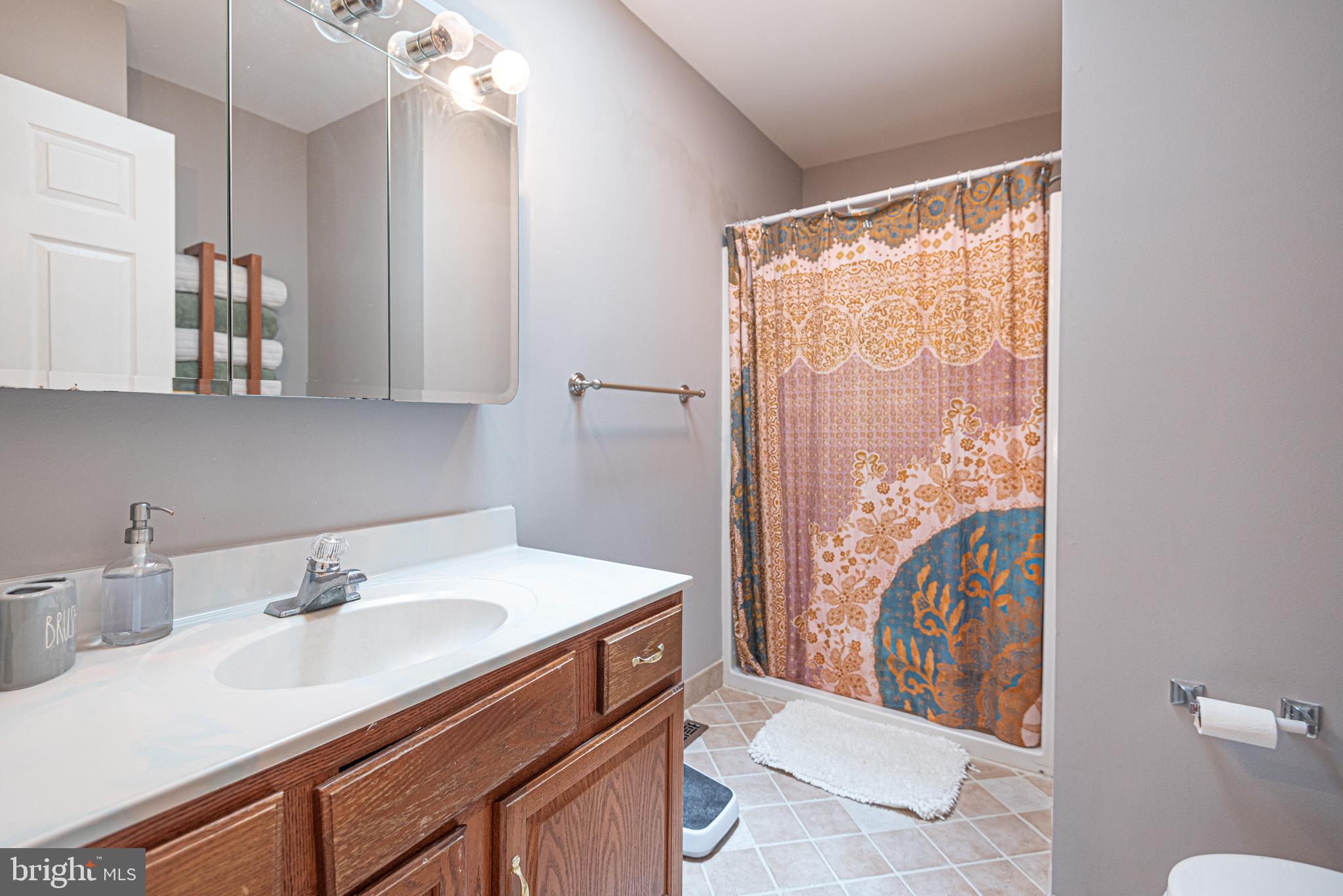 12442 Salisbury Road Ocean City, MD 21842 - Photo 44 of 69 primary bathroom