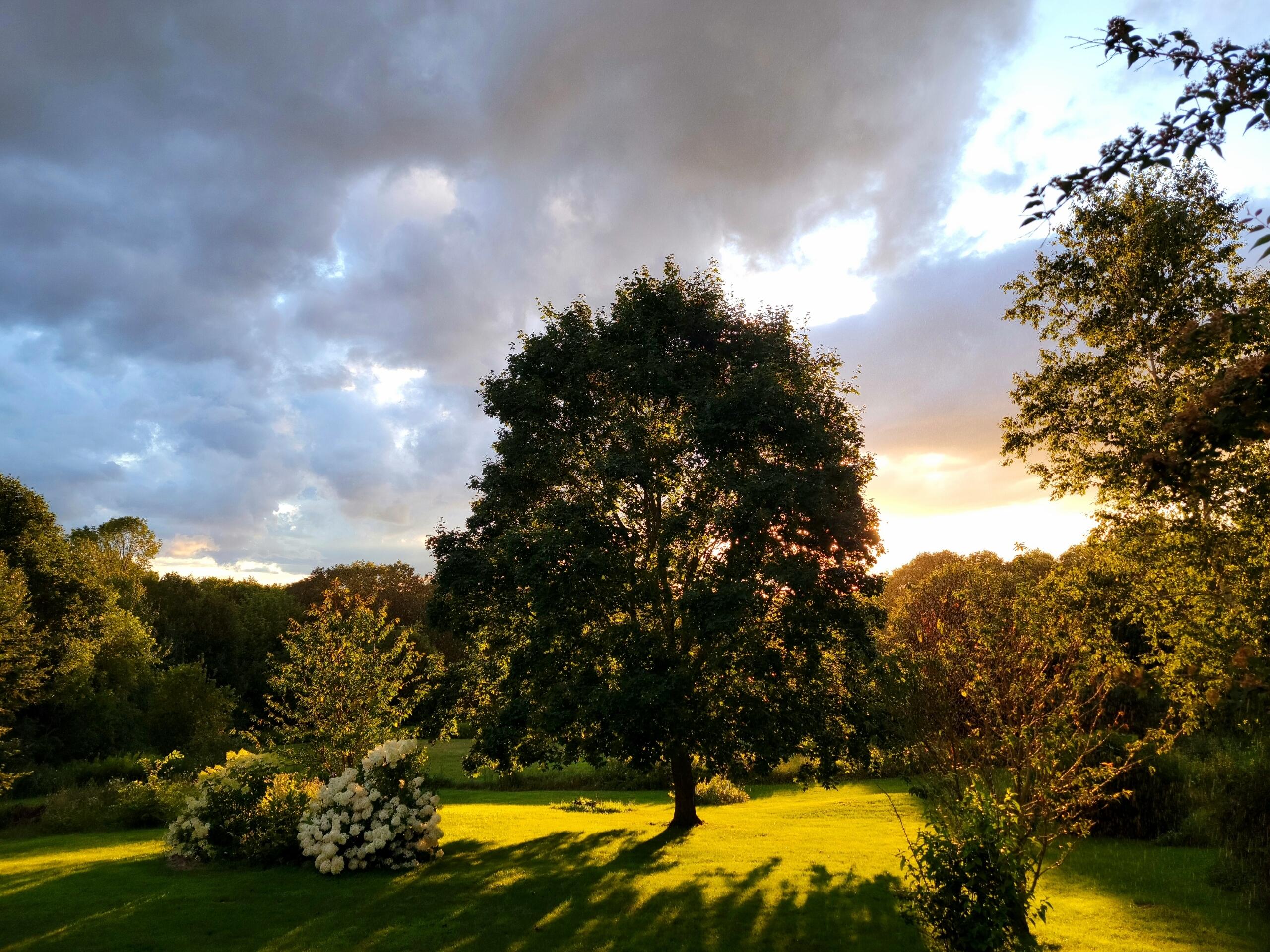 397 Oyster River Road Warren, ME 04864 - Photo 49 of 57 IMG_20230801_195129