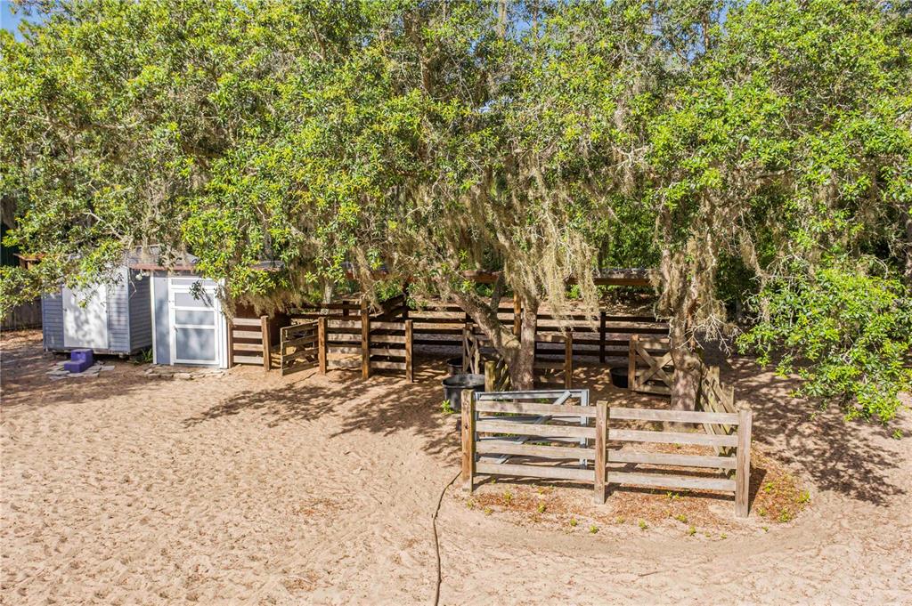 10740 Jim Edwards Road Haines City, FL 33844 - Photo 44 of 66