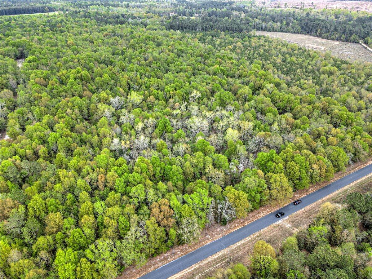 0 Millers Pond Road, Unit LOT 5 Salley, SC 29137 - Photo 3 of 13