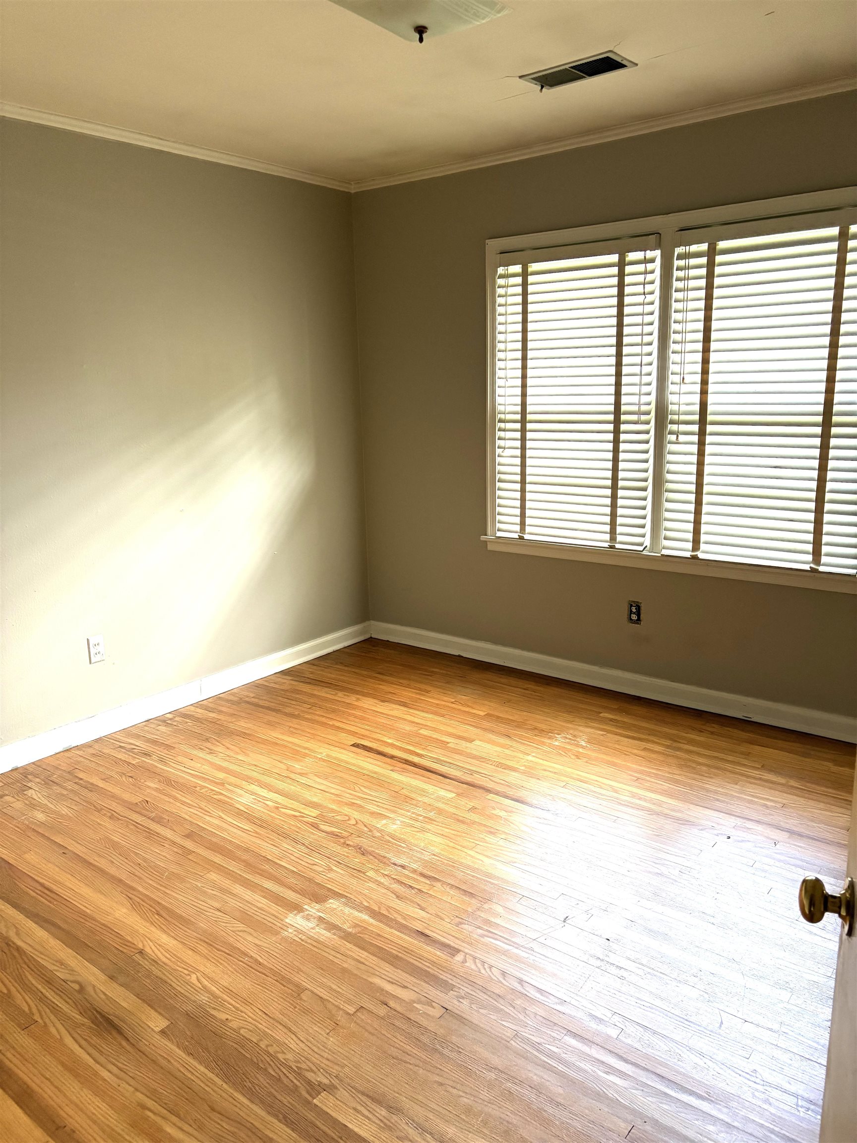 4651 Flamingo Road Memphis, TN 38117 - Photo 10 of 13 Hardwood flooring throughout, two windows with blinds, crown molding, and a flush-mount ceiling light fixture