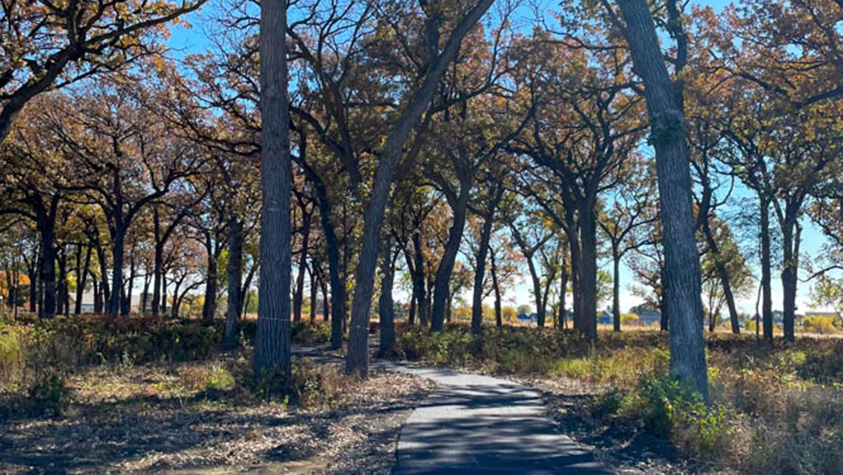 402 Arbor Ridge Court Hampshire, IL 60140 - Photo 21 of 47 a view of a yard with a tree