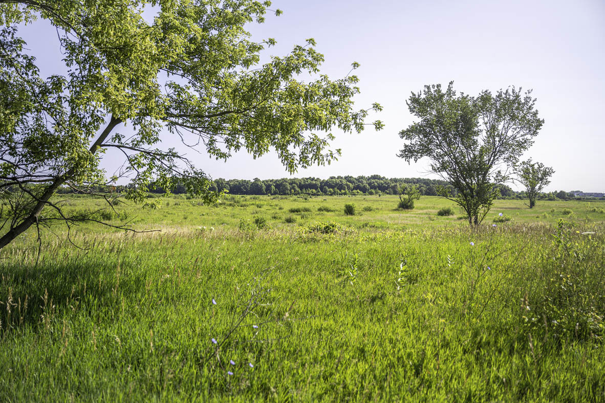 402 Arbor Ridge Court Hampshire, IL 60140 - Photo 42 of 47 a view of a lake with a big yard