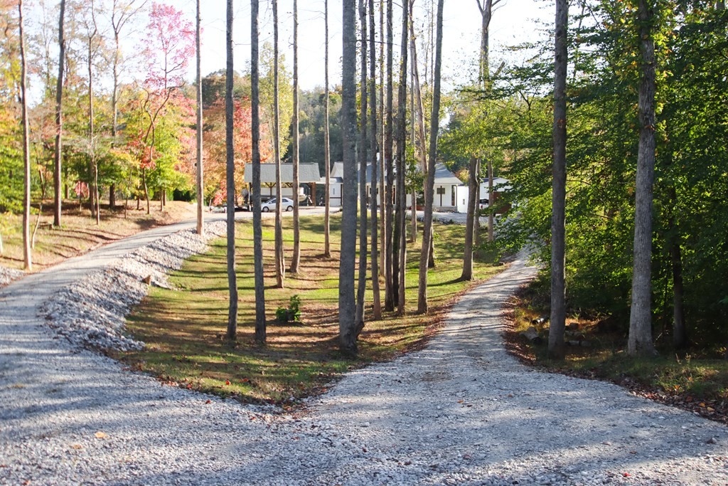 608 Lakeview Road Walling, TN 38587 - Photo 2 of 68 a view of a street with an outdoor space