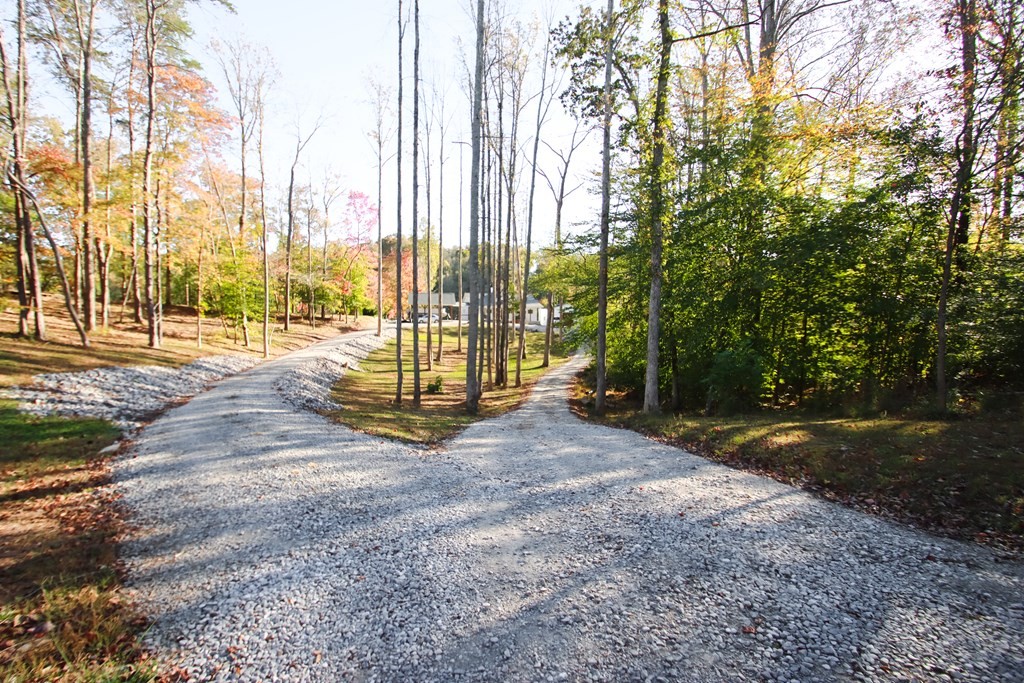 608 Lakeview Road Walling, TN 38587 - Photo 4 of 68