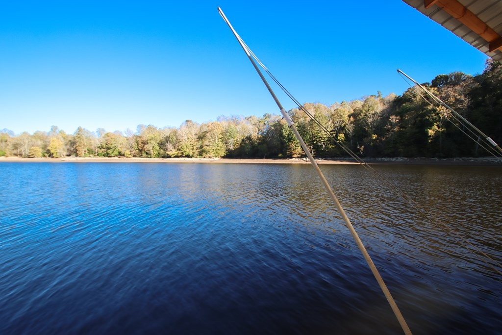 608 Lakeview Road Walling, TN 38587 - Photo 62 of 68