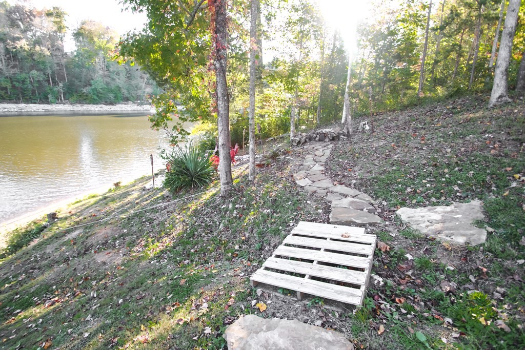 608 Lakeview Road Walling, TN 38587 - Photo 67 of 68 a view of a garden with lake