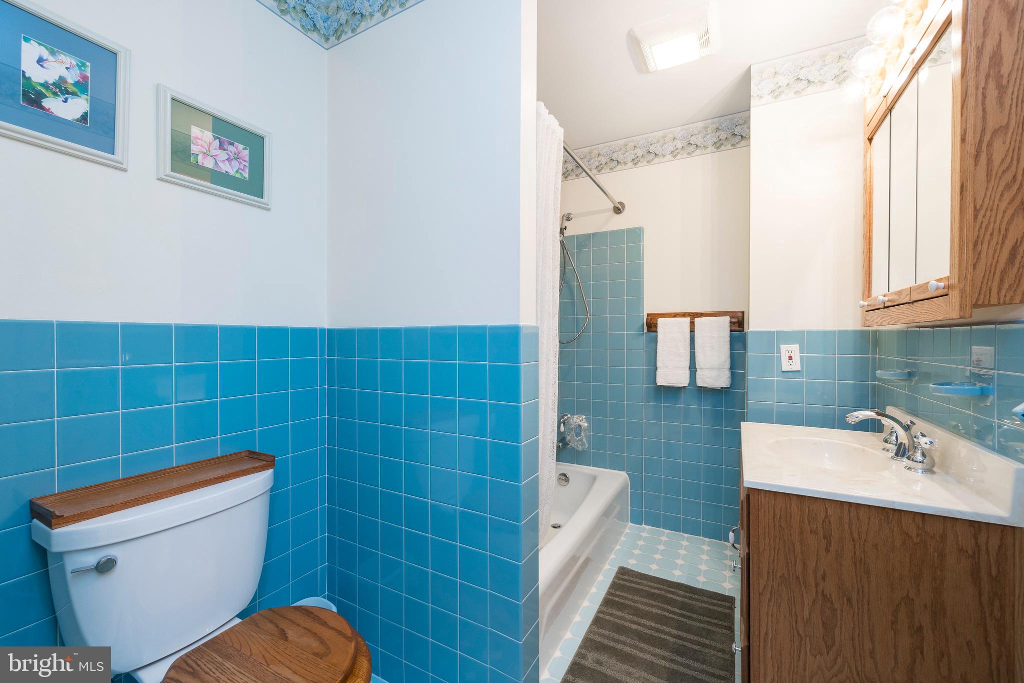 714 Ridgeview Drive Telford, PA 18969 - Photo 24 of 29 Hall Bathroom