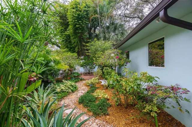 a potted plant sitting in front of a house