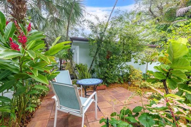 a view of a yard with plants