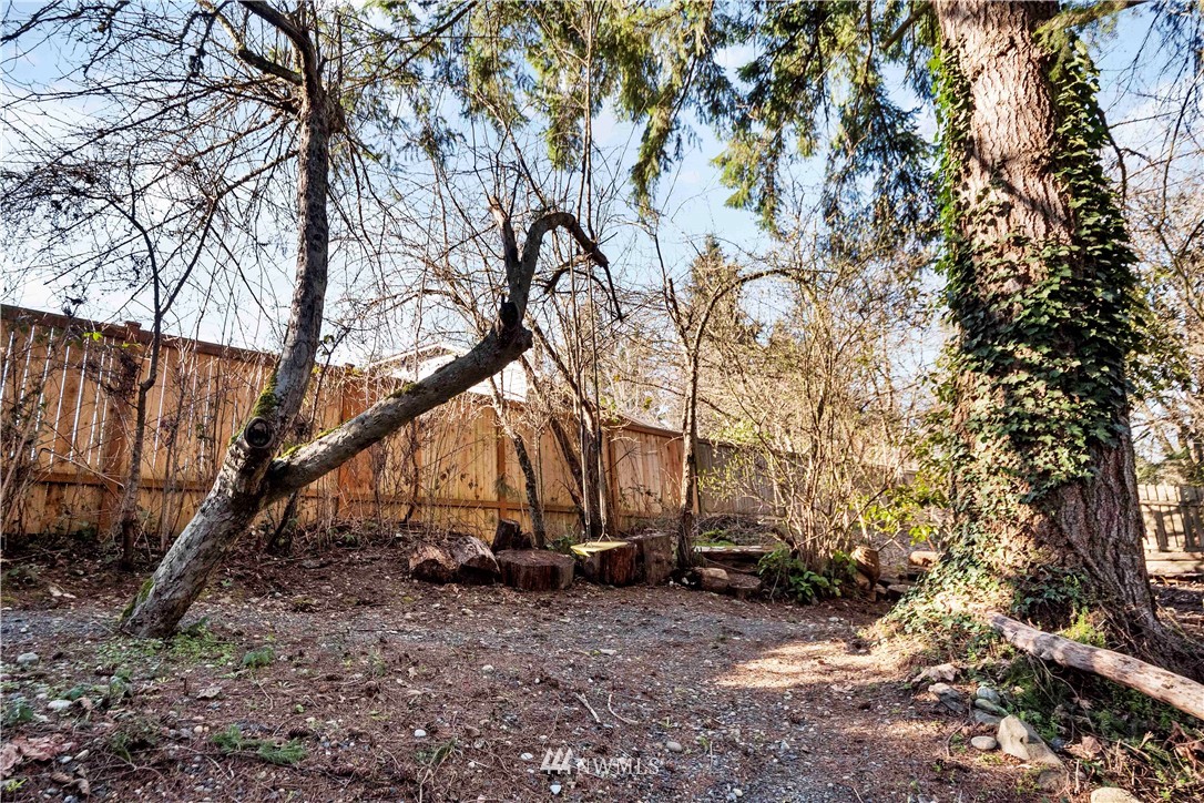 23718 23rd Avenue West Bothell, WA 98021 - Photo 28 of 36 a view of backyard with large trees