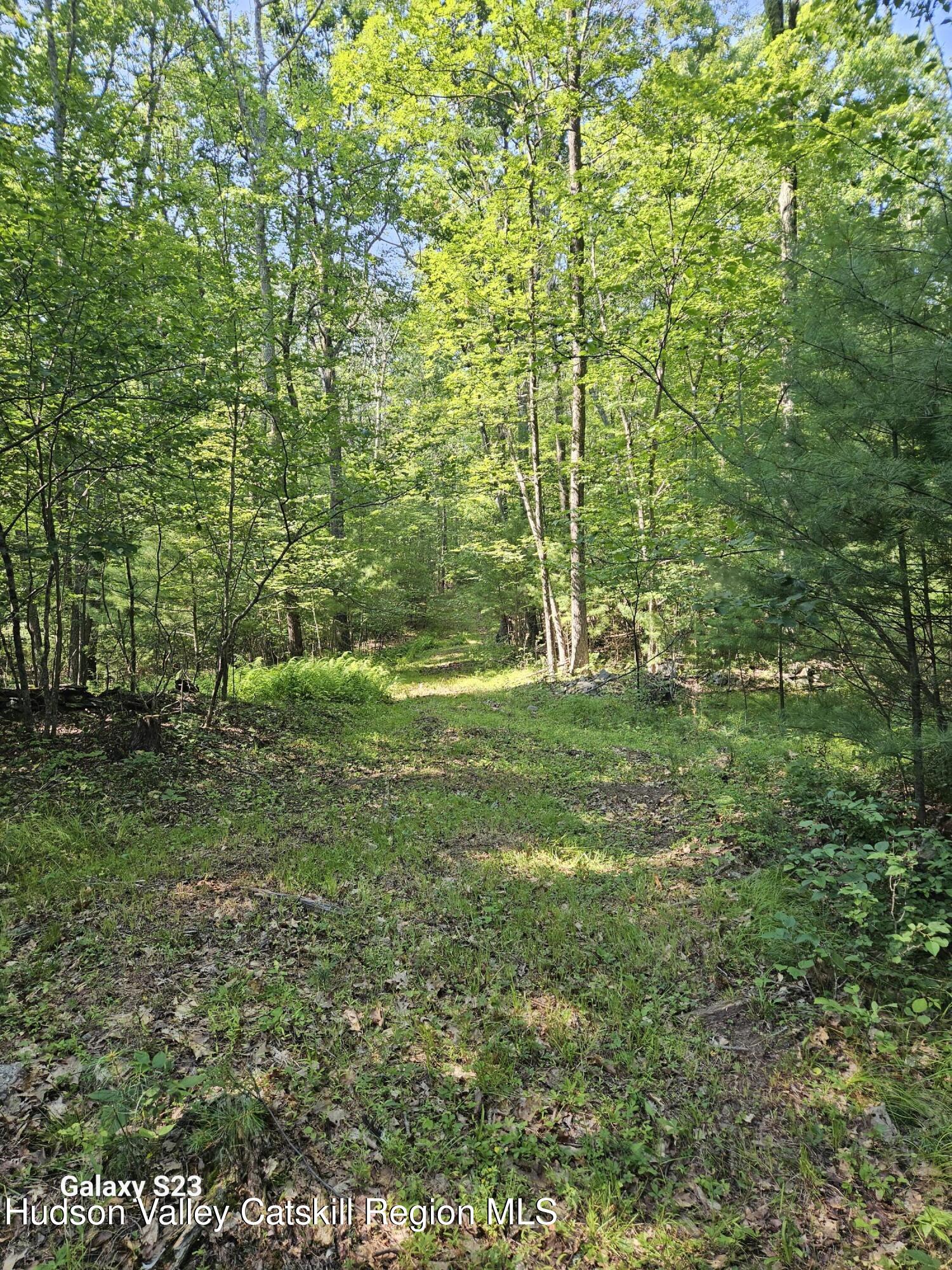 0 Hearts Content Road Catskill, NY 12414 - Photo 2 of 21 20260711_163607
