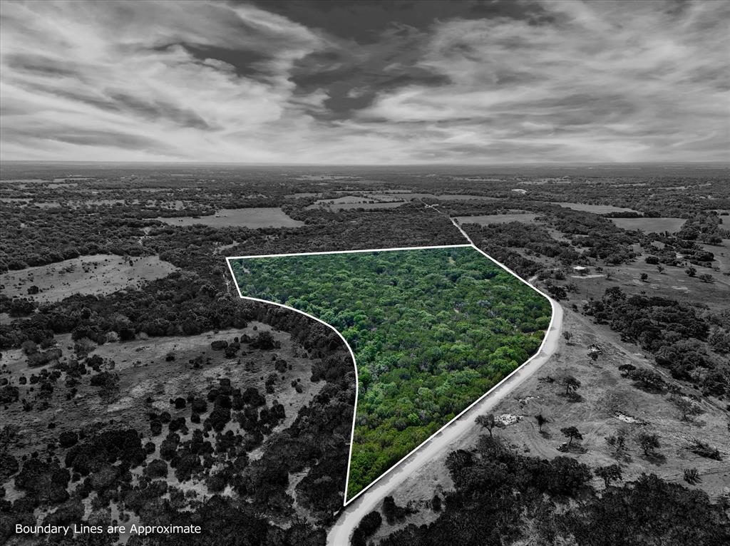 Mustang-a Mustang Road Purmela, TX 76566 - Photo 1 of 18 an aerial view of a forest with a yard