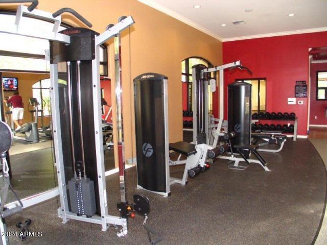 11640 North Tatum Boulevard, Unit 3031 Phoenix, AZ 85028 - Photo 12 of 14 fitness center