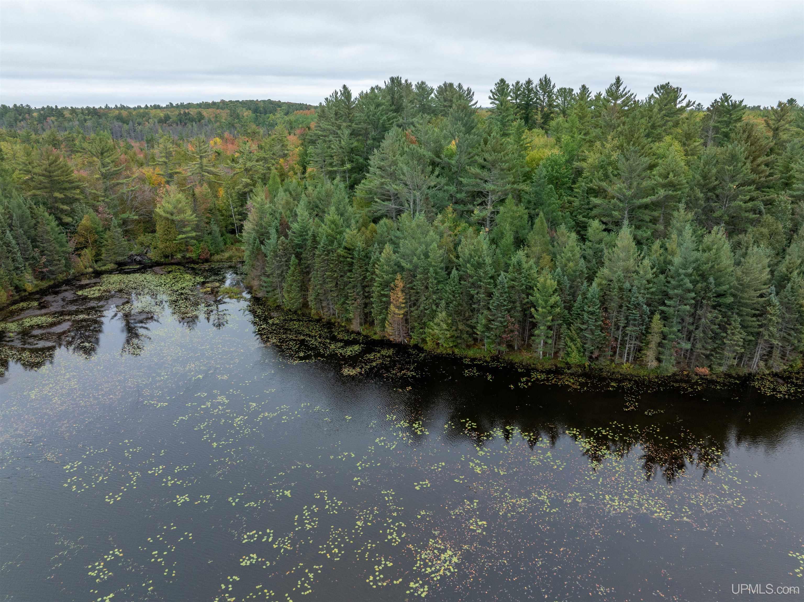 Tbd Leatherleaf Lane Munising, MI 49862 - Photo 15 of 24