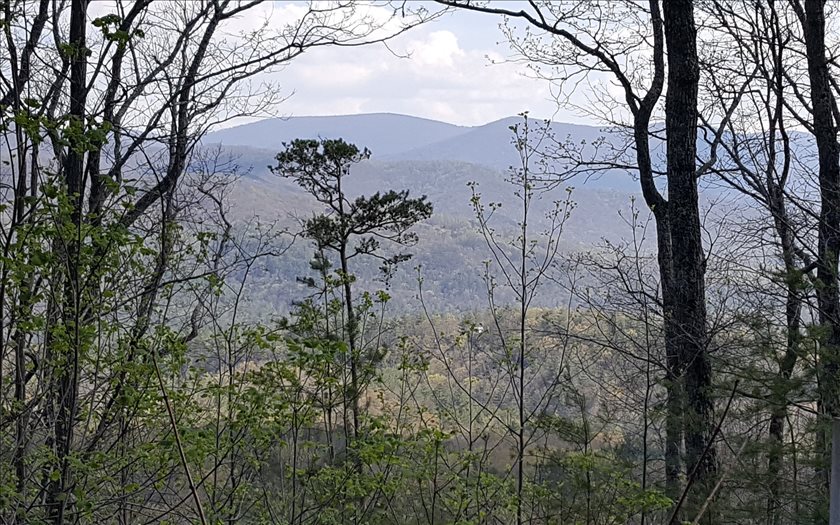 15 Point Of View Blue Ridge, GA 30513 - Photo 1 of 1 Main View
