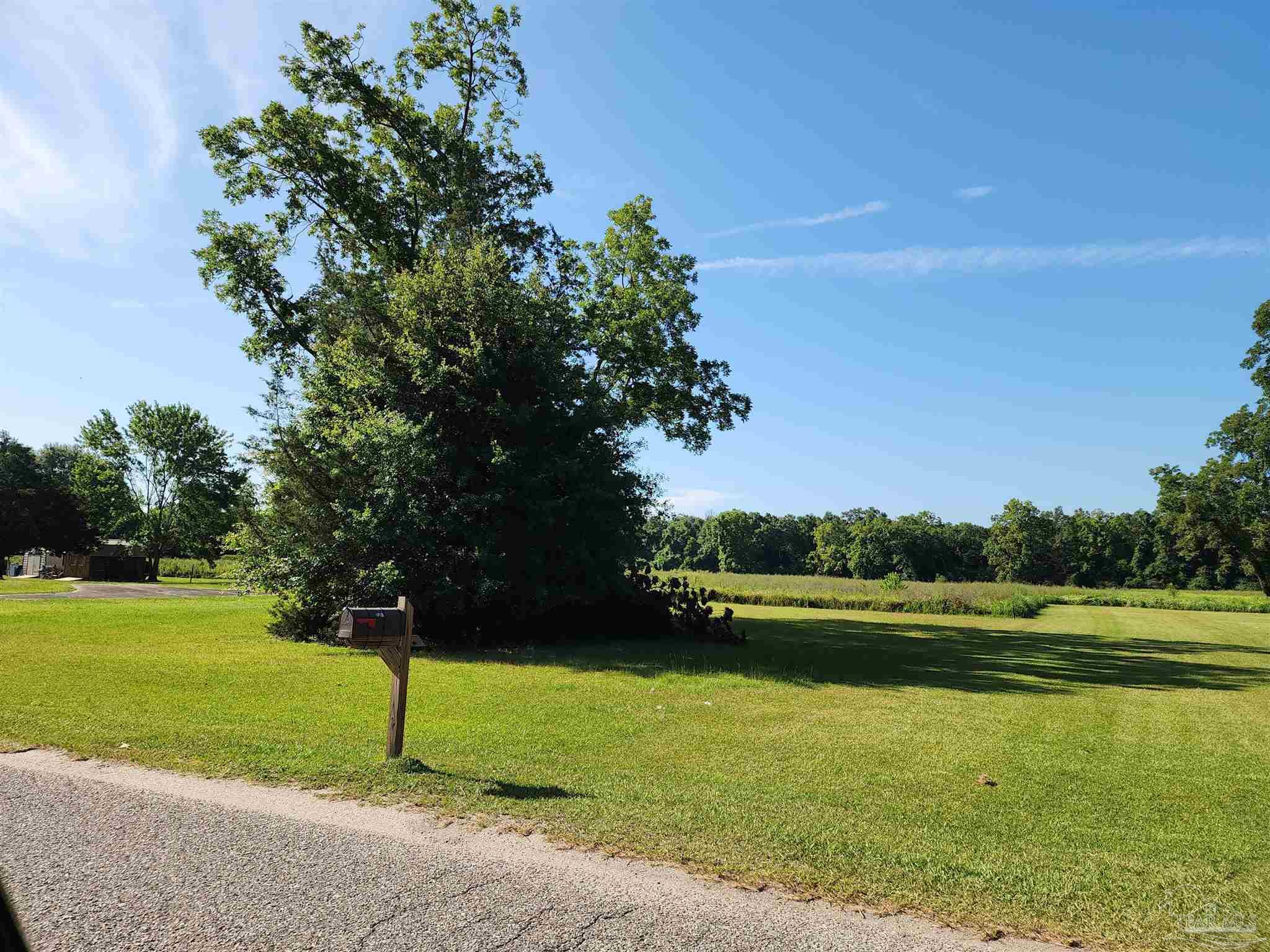 0 McRae Street Atmore, AL 36502 - Photo 1 of 6 a view of a golf course with a lake