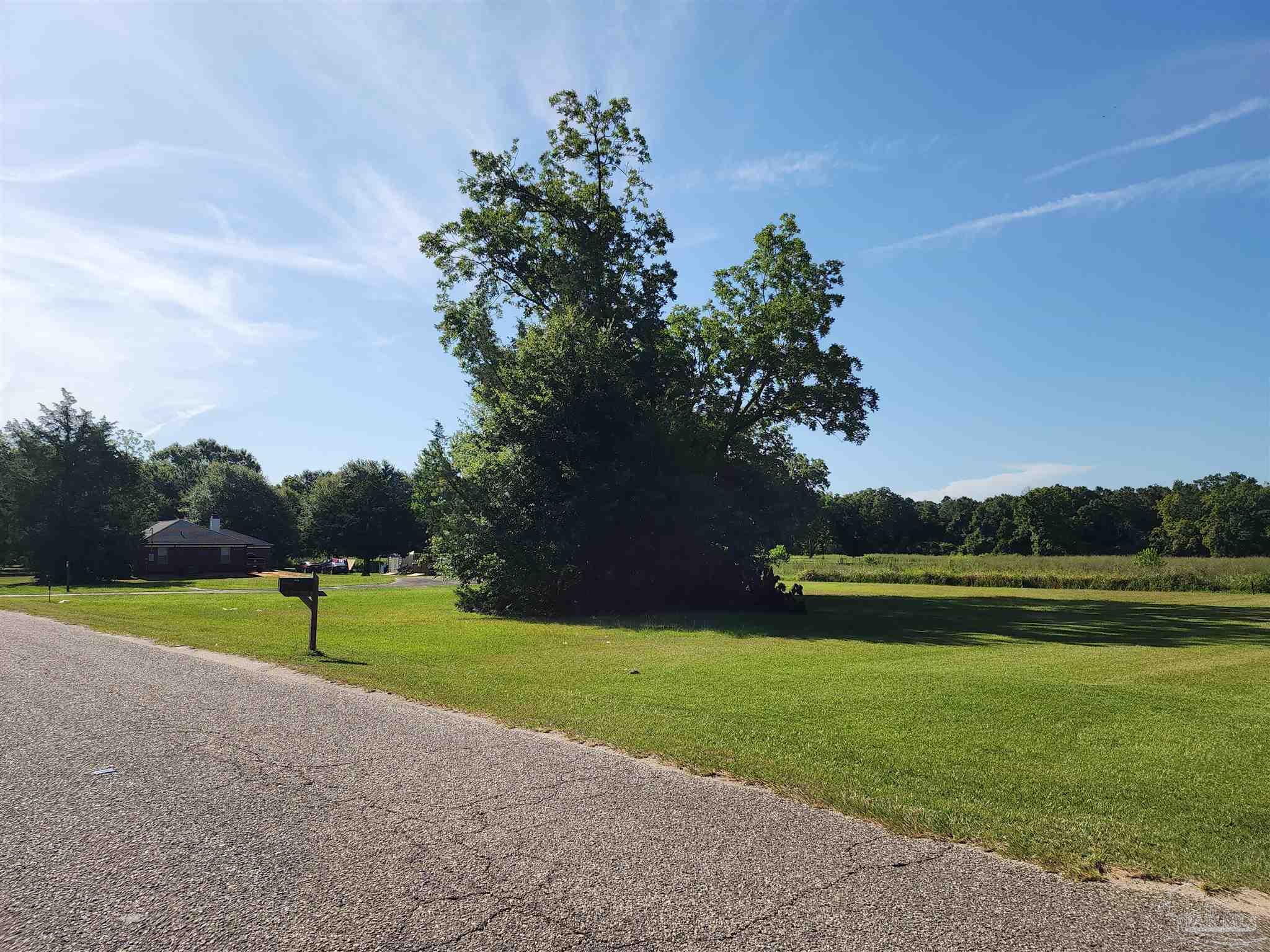 0 McRae Street Atmore, AL 36502 - Photo 4 of 6 a view of outdoor space