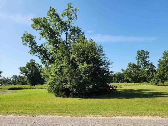 a view of a golf course with a lake