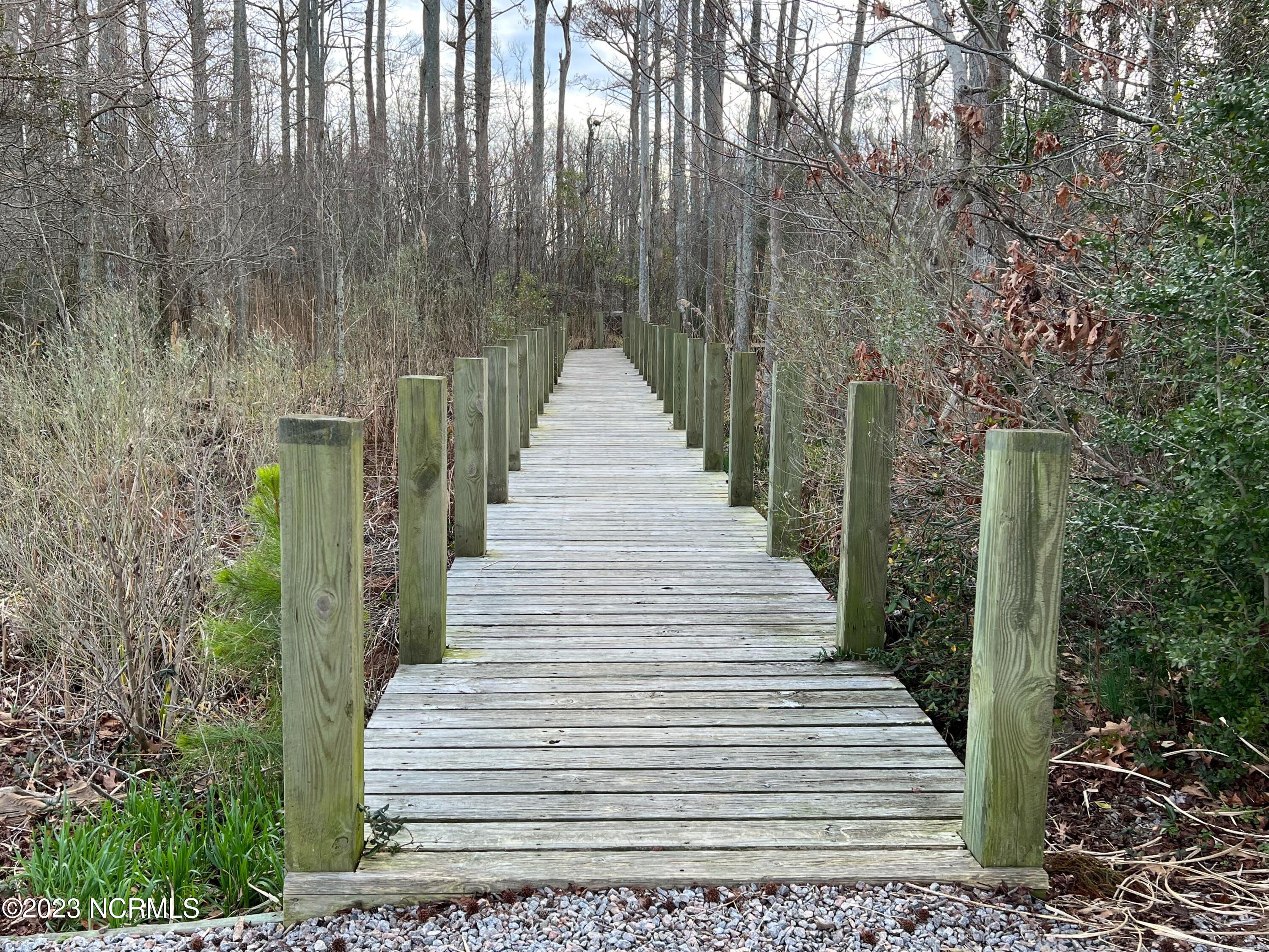 151 Mariners Way Moyock, NC 27958 - Photo 48 of 53 Walkway through the woods