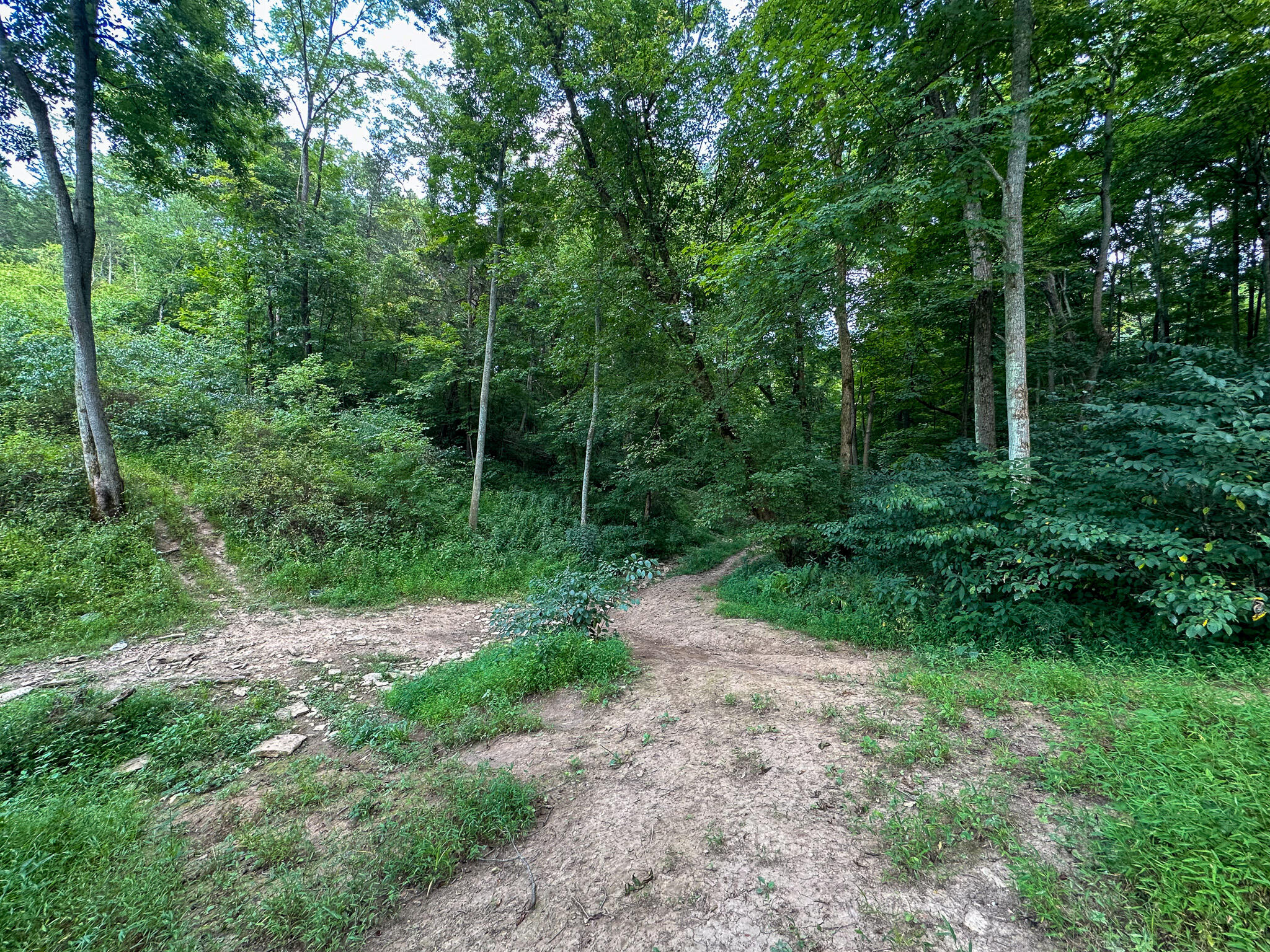 0 Goose Creek Road Carlisle, KY 40311 - Photo 7 of 24 IMG_4398
