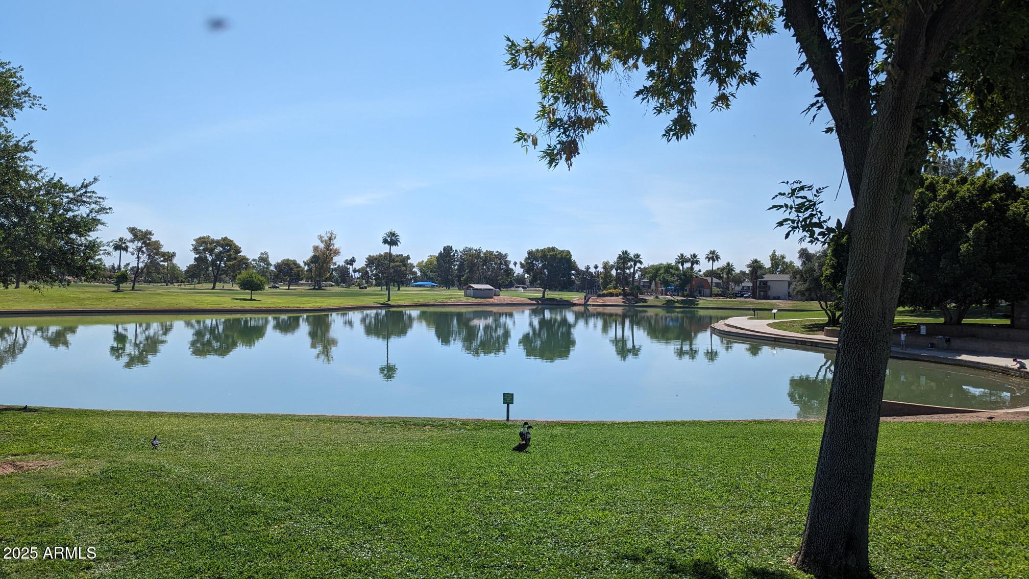 1331 West Baseline Road, Unit 338 Mesa, AZ 85202 - Photo 27 of 28 a view of a lake with houses in the back