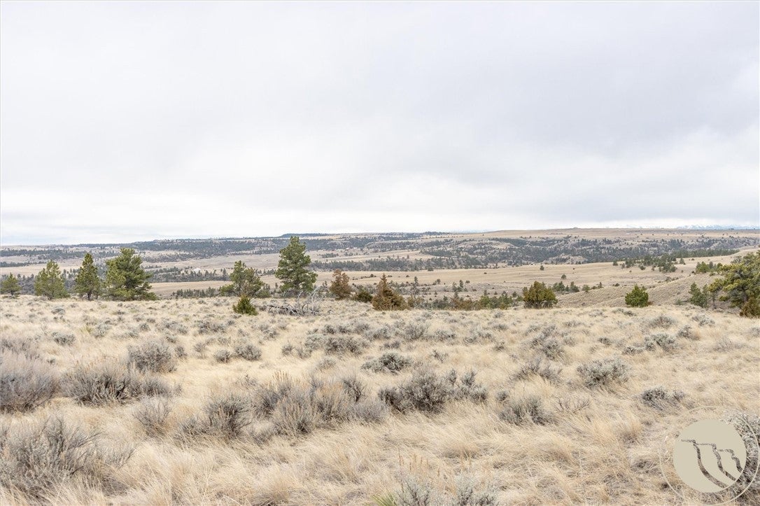 0 Rocky Ridge Road Molt, MT 59057 - Photo 3 of 17 Gallery Image 3