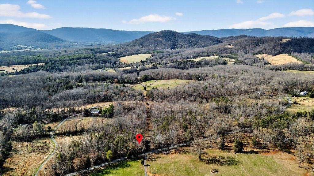 2705 Greenfield Road Afton, VA 22920 - Photo 3 of 46