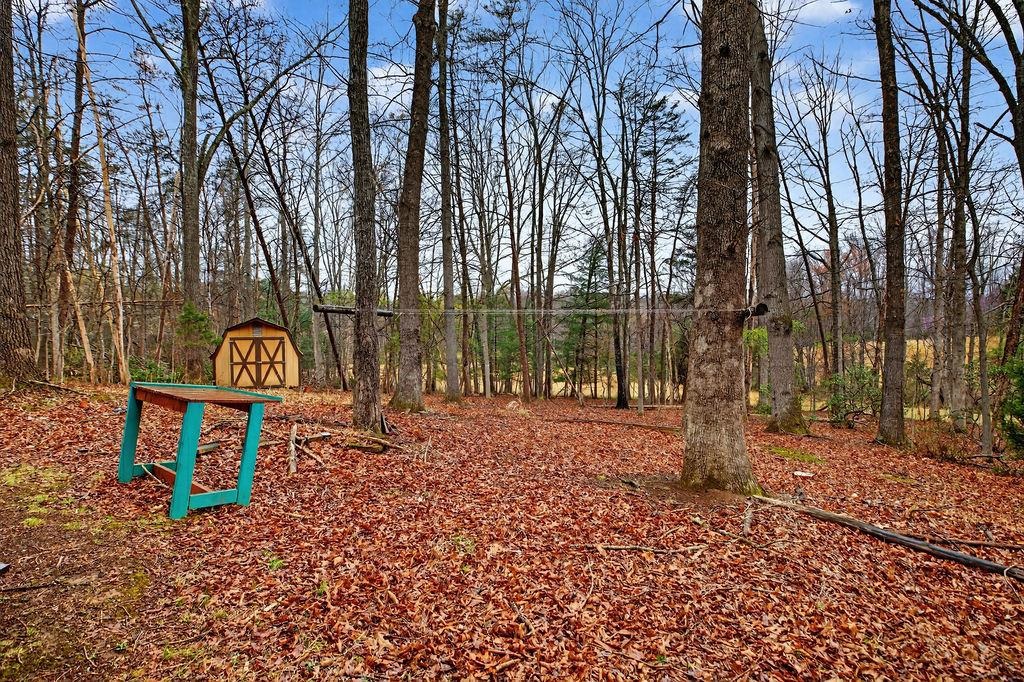 2705 Greenfield Road Afton, VA 22920 - Photo 39 of 46